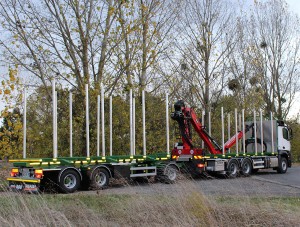 Caricatore forestale Marchesi