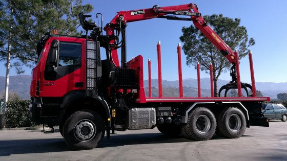 Marchesi Forestry crane