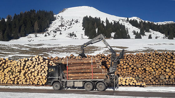 timberloader-marchesigru-working-intrentinoitaly