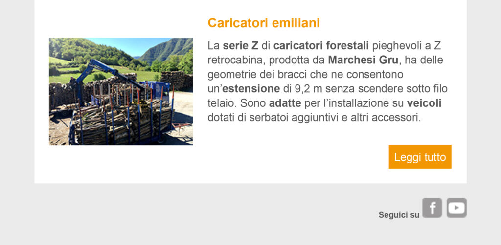 marchesigrusrl-macchineeattrezzatureforestali-gruforestali