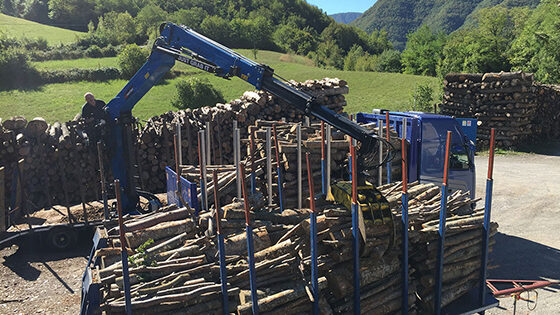 marchesigrusrl-timberloader-secondhandcrane